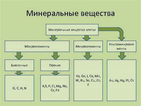 Агрессивные химические вещества и их роль в процессе коррозии