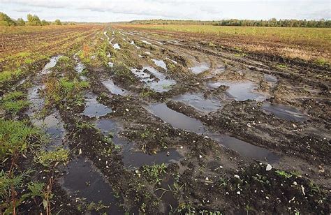 Агрохимические препараты и загрязнение почвы