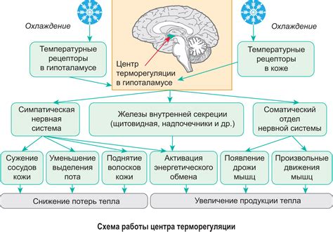 Адаптация для разных климатических условий