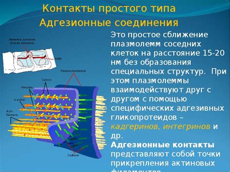 Адгезионные промежуточные слои для соединения полиамида с металлом