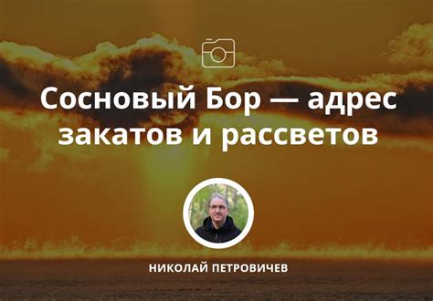 Адрес ПБЦ "Сосновый бор"