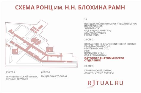 Адрес отдела кадров онкологического центра