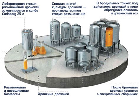 Адрес пивоварни в Карачаевске