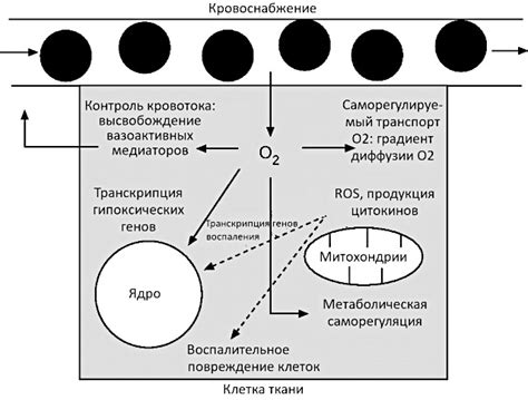 Активная роль кислорода