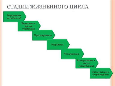 Анализ конкретных потребностей и требований