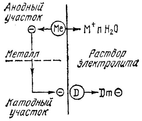 Анодная и катодная реакции