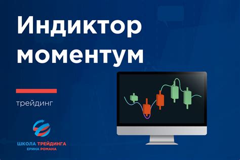 Арматура: ключевой индикатор финансовых рынков