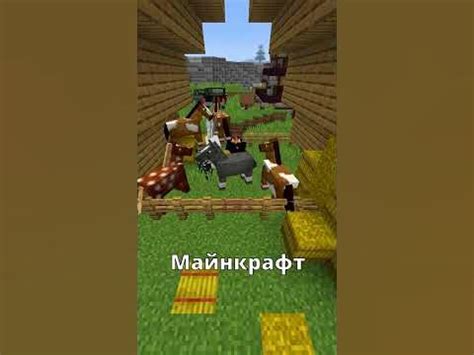 Атрибуты блока сена в Minecraft