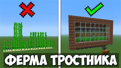 Афк ферма тростника майнкрафт: