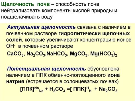 Базность и щелочность оснований