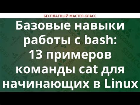 Базовые навыки для начинающих