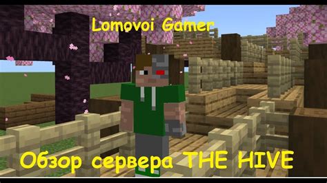 Безопасность и надежность сервера Minecraft The Hive