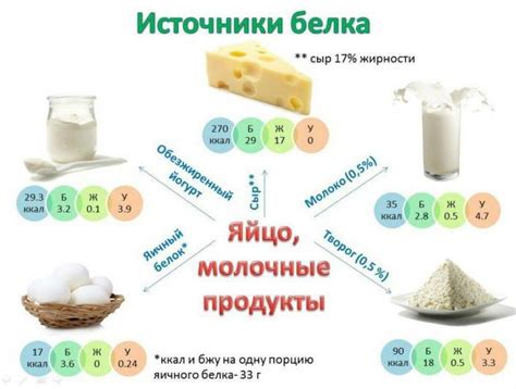 Белковая пища: необходимость в строительных элементах