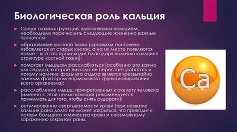 Биологическая роль кальция