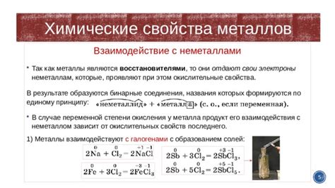 Биологическое значение взаимодействия металла с неметаллом: роль в организме