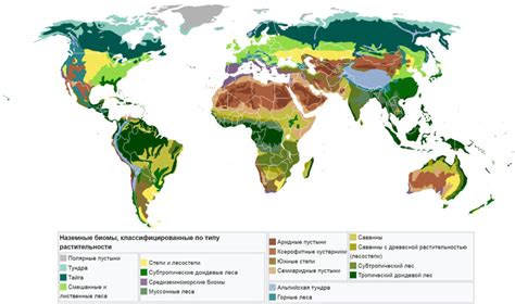 Биомы и ландшафт