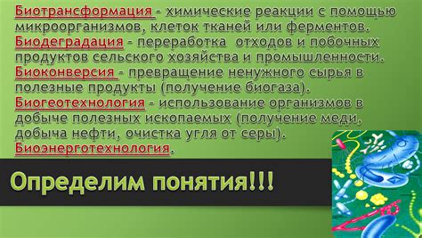 Биотрансформация: переработка металлов с помощью микроорганизмов