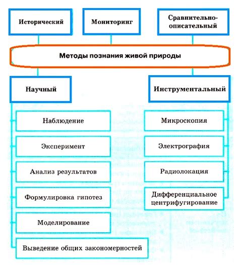 Биохимические методы: важность и применение в экологии