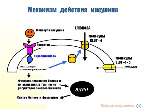 Биохимический механизм действия компота на фиксацию