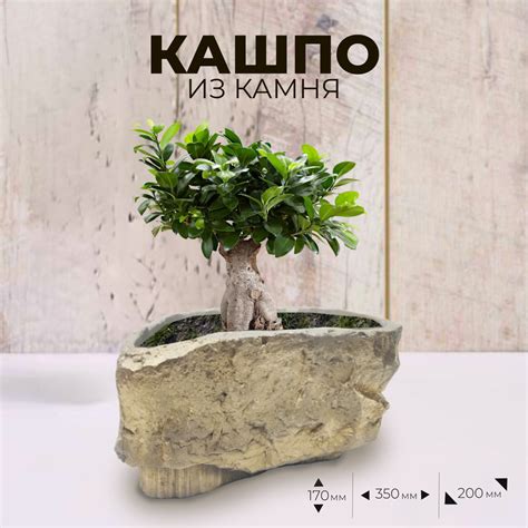 Блок из прочного камня