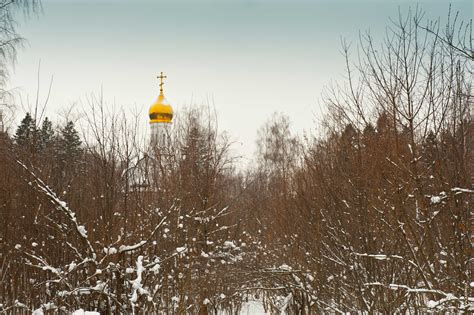 Будущее телефона церкви в лесу