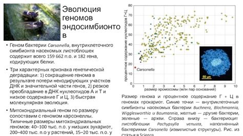 Быстрая высыхаемость и низкое содержание растворителей