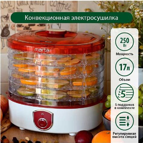 Быстрое сушение продуктов