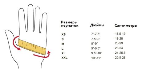 Важность выбора правильного размера сальника