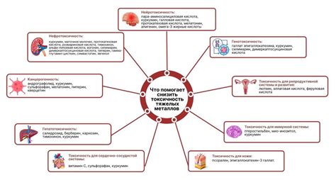 Важность детоксикации тяжелых металлов