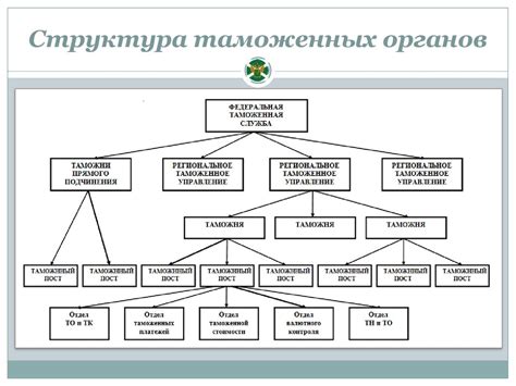 Важность контактных данных телефона ОВК Шереметьевской таможни