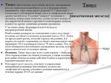 Важность обратной связи и контроля при лечении вилочковой железы у детей