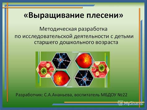 Важность определения благоприятных условий для роста тростника