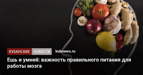 Важность правильного питания для эффективной работы