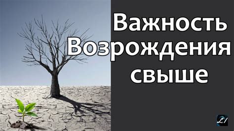 Важность точки возрождения