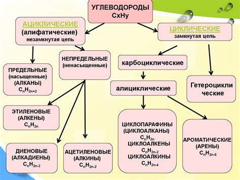 Важность усвоения органических веществ