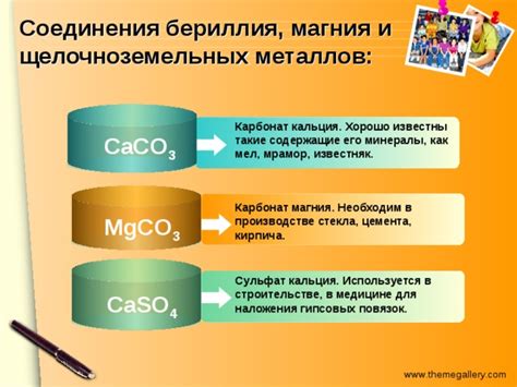 Важность щелочноземельных металлов для живых организмов