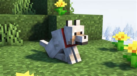 Важные нюансы и ограничения при приручении волка в Minecraft моде Better Animals Plus