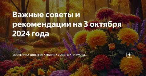 Важные рекомендации и советы