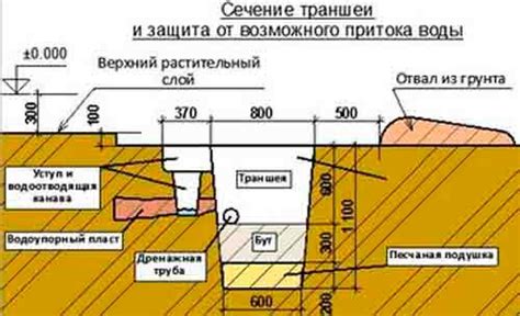 Важный этап: как правильно разведать территорию и установить ловушки