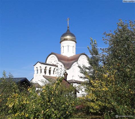 Вакцинация в Парке 850-летия Москвы