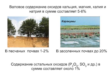 Валовое содержание и его значение