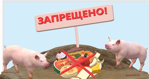 Варианты использования пищевых продуктов: привлечение свиней