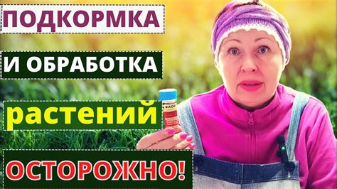 Ведите хозяйство аккуратно