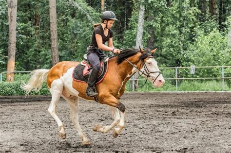 Верховая езда на лошади: самый быстрый способ передвижения