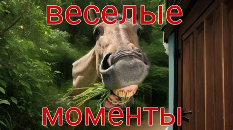 Веселые и неожиданные моменты