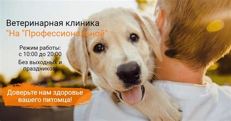 Ветеринарная клиника в Куровском: контактный телефон и услуги