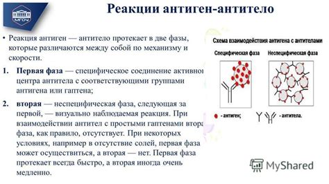 Взаимодействие и механизмы