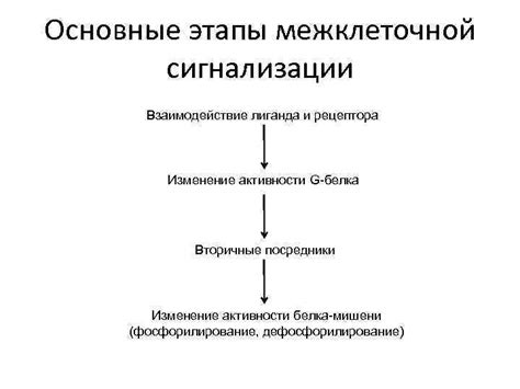 Взаимодействие лиганда и металла: основные этапы комплексообразования