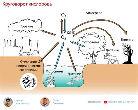 Взаимодействие металла и земли в природе