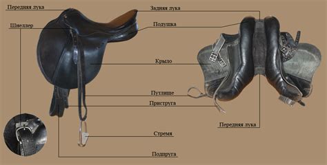 Виды брони для коня